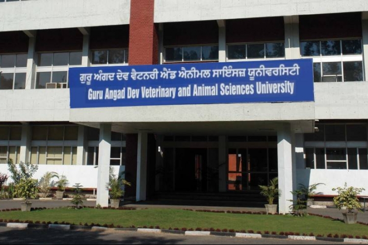 College Campus