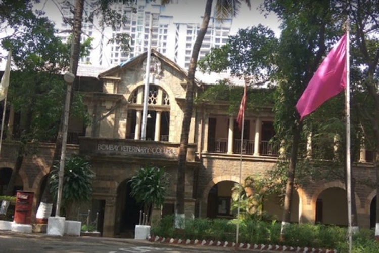 College Campus