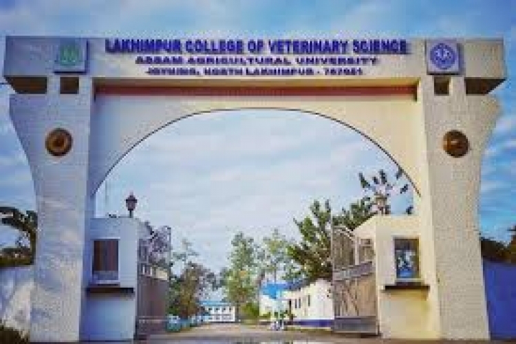 College Campus