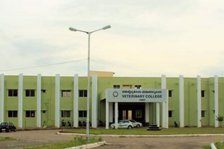 College Campus